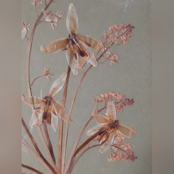 Vintage Pressed Flowers Framed Wall Art Decor Artist Signed - Picture 5 of 10